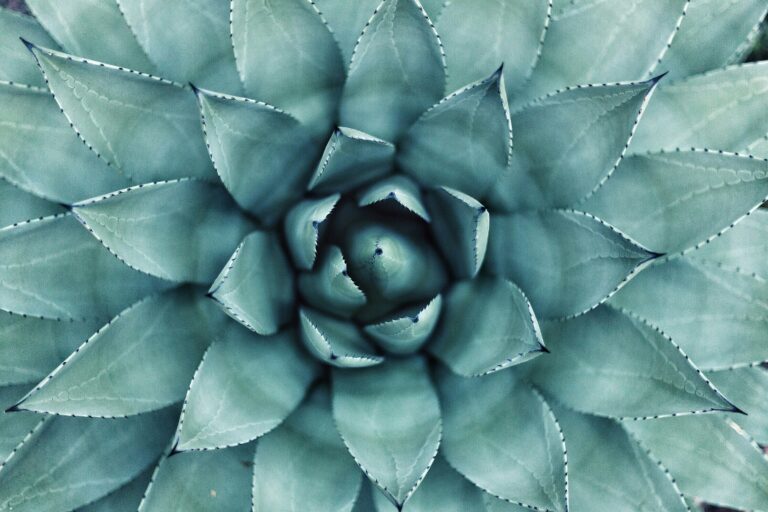 120 Citations Sur La Nature