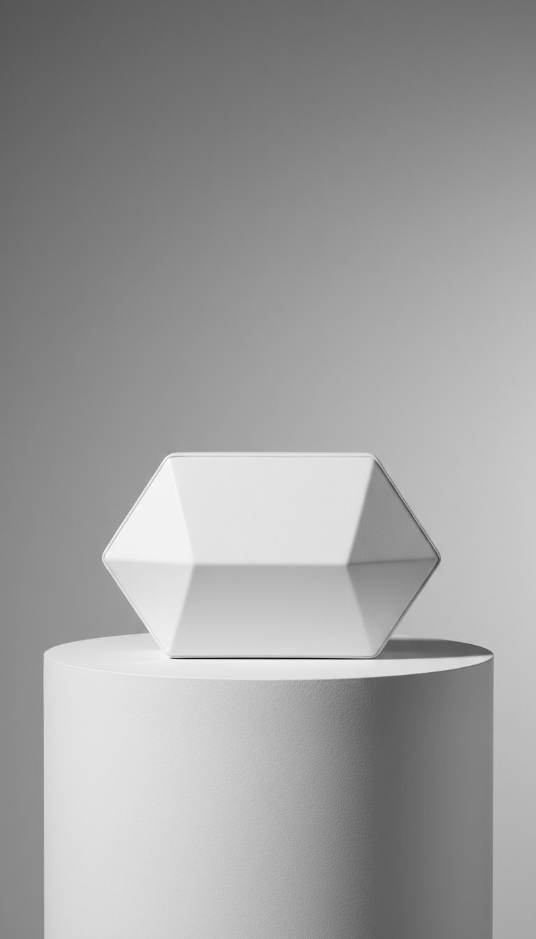 Modern Minimalist Geometric Clutch